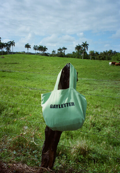The GAYLETTER Big Tote - Mint green